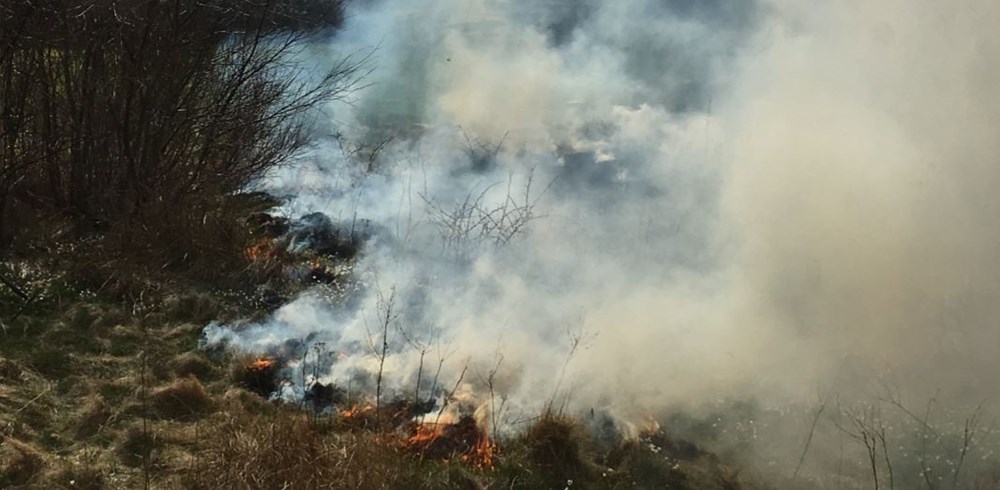 Gräsbrand